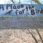 Tender Years Kindergarten Class Exhibits Bird Houses at Art In The Wild event